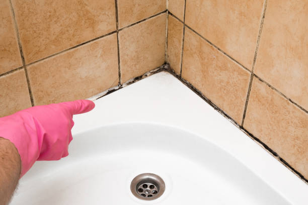 Crawl Space Mold Removal in Seis Lagos, TX